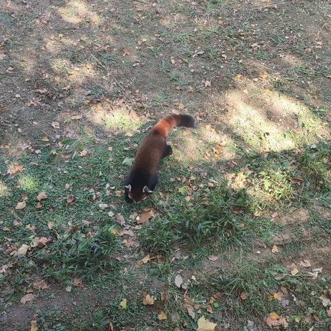 中国好公民st于2022-11-12 22:46发布的图片