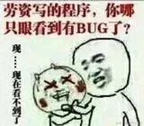 哪有bug.jpg