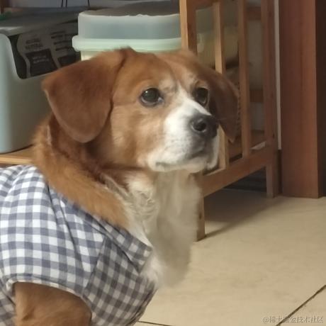 锅里没有水母于2022-12-31 14:31发布的图片