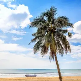 证果果于2022-12-07 09:55发布的图片