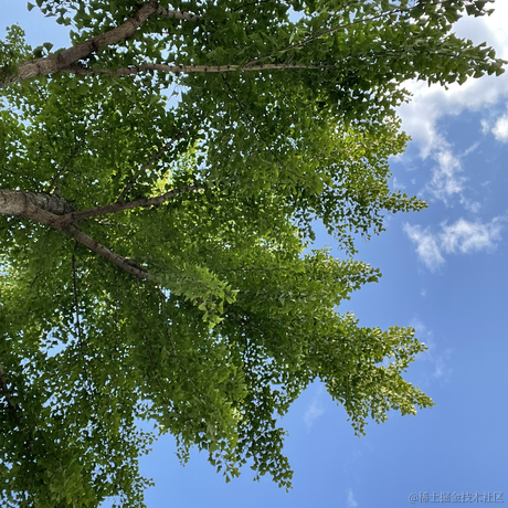 不知道起什么名字啊于2022-06-24 12:51发布的图片