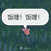 归去来别重名于2022-12-21 21:21发布的图片