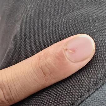 土豆泥丶于2023-10-27 11:37发布的图片