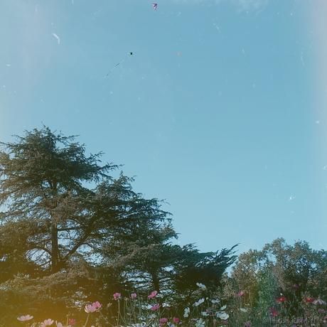 老九吖于2021-11-03 09:44发布的图片