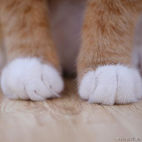 Wei于2022-11-27 23:29发布的图片