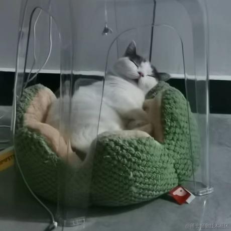 向晚明天吃什么于2022-12-01 09:22发布的图片