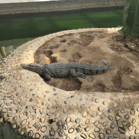 中国好公民st于2022-11-12 22:46发布的图片