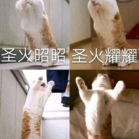 叨叨呀于2022-06-29 17:32发布的图片