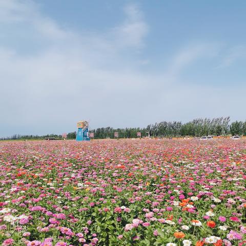 moreThan于2021-07-18 23:59发布的图片