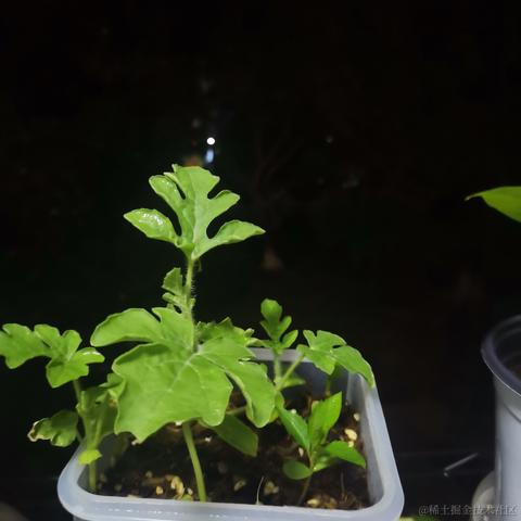 Ava大水母于2023-06-18 10:53发布的图片