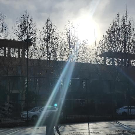 奈亚拉托提普于2022-11-30 21:01发布的图片