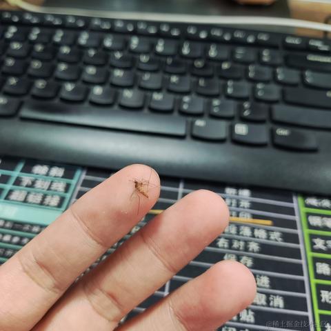 优秀稳妥的金枪小魔王于2023-06-06 09:34发布的图片