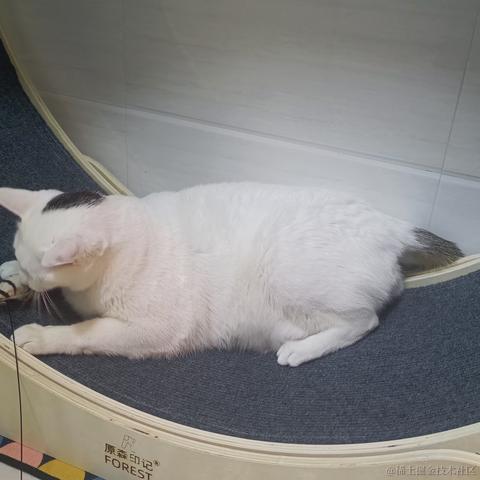 奔跑吧鸡翅于2023-01-14 09:52发布的图片