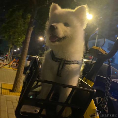 Deborah倩倩于2020-12-21 11:04发布的图片