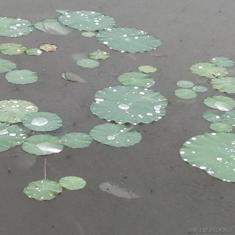 远远619于2022-11-16 19:51发布的图片