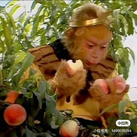 momo2908于2023-09-13 08:26发布的图片