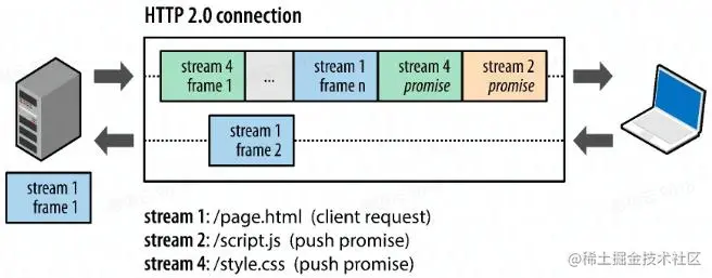 web4.jpg