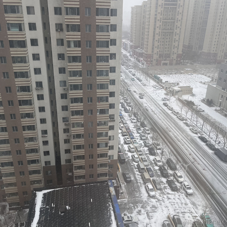 丢你去喂鱼于2022-12-13 11:31发布的图片