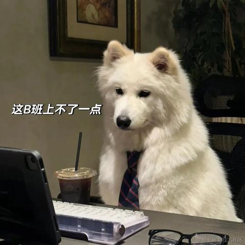 客怎眠于2024-06-19 11:47发布的图片