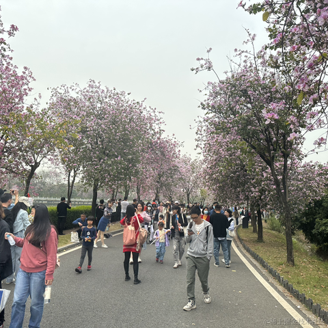 flytsuki于2023-03-06 09:03发布的图片