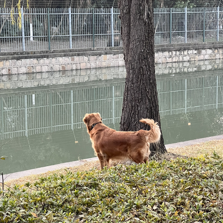 用户9978426605530于2023-01-18 23:59发布的图片